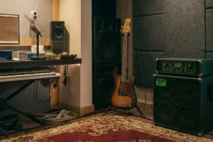 bass-view