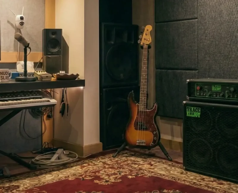 bass-view